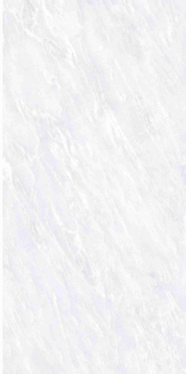 OL Vivid White Matte 12 x 24